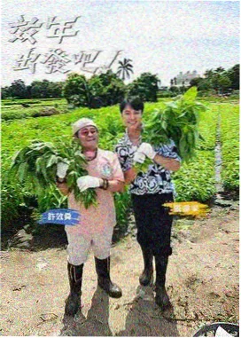 声音档案综艺封面